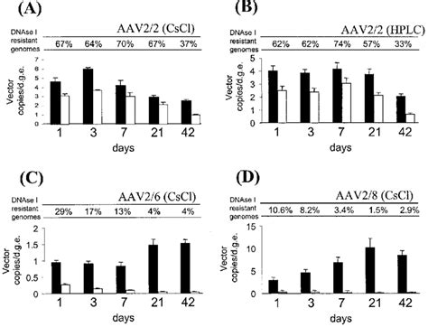 Real Time Pcr Quantitation Of The Proportions Of Dnase I Resistant Aav