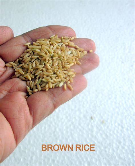 Brown Rice: Brown Rice Breakfast