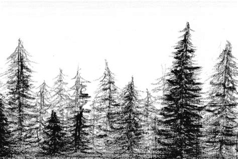 1+ Thousand Charcoal Drawing Tree Royalty-Free Images, Stock Photos & Pictures | Shutterstock