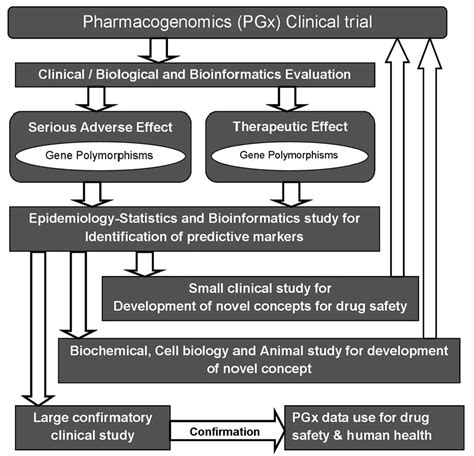 The Pathways Of Pharmacogenomic Research In Clinical Download