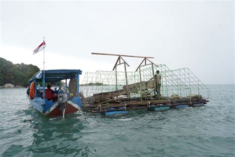 Together With Fishermen PT Timah Tbk Runs A Fishing Ground Program In