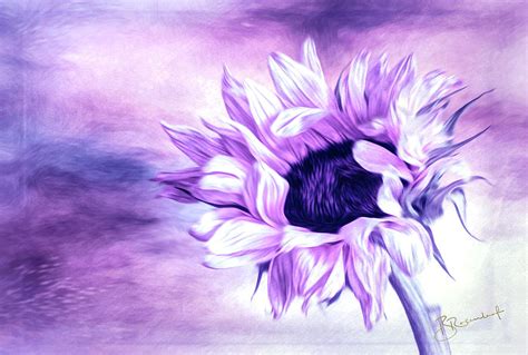 Purple Sunflower Digital Art By B Rosenleaf