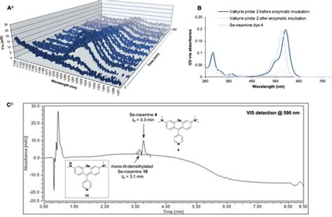 Valkyrie Probes A Novel Class Of Enzyme‐activatable Photosensitizers