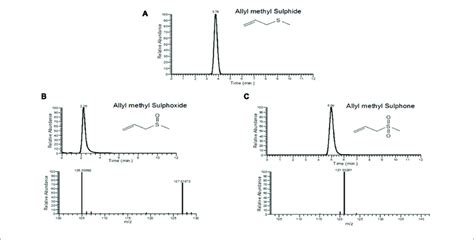 U Hplcapci Ms Eic Of A Allyl Methyl Sulfide Mz 89 Rt 378 Min