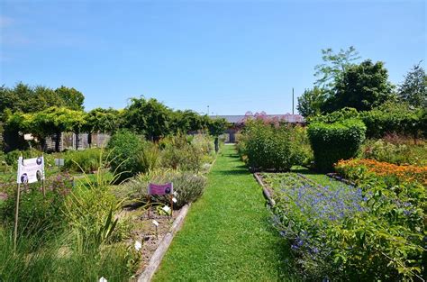 Conservatoire National Des Plantes Essonne Tourisme