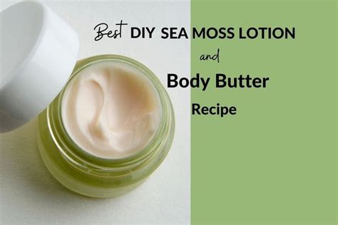 The Best Diy Sea Moss Lotion And Body Butter Recipe Recipe Body