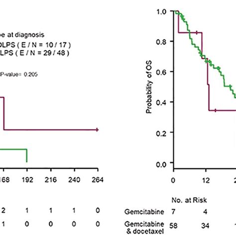 Kaplanmeier Curve Of Overall Survival From Diagnosis By Subtype At Download Scientific Diagram