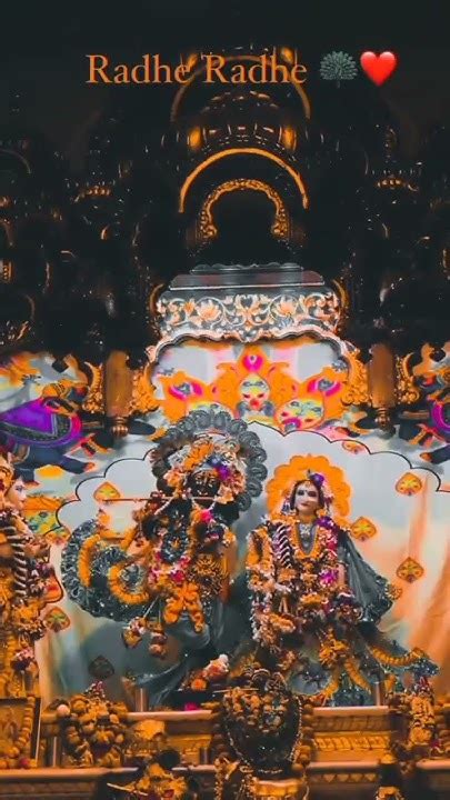 Krishna Kahu Tatva Vrishbhan Ki Kishori Hai Shorts Vrindavan Youtube