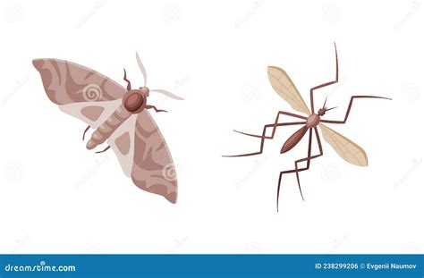 Pest Control And Parasite Extermination And Disinsection Service Vector Set Stock Vector