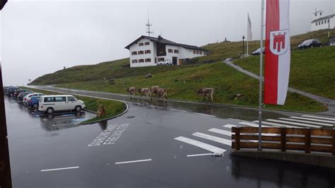 Ischgl In The Austrian Alps In 2014 A Summer Walking Holid Flickr