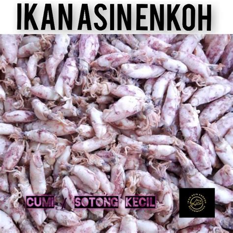 Jual Ikan Asin Cumi Rebus Sotong 250gr 1 4KG Shopee Indonesia