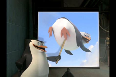 The Explanation Of Butt Penguins Of Madagascar Photo 31608956