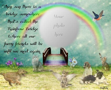 Smilam S Pets Rainbow Bridge Frame With Poem In Memory Of Pets Who