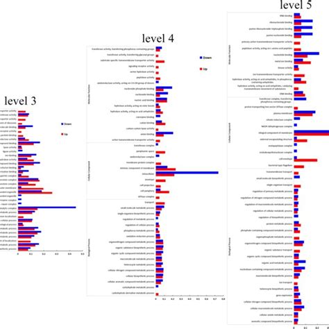 Subcellular Locations Of Differentially Expressed Proteins Deps Of