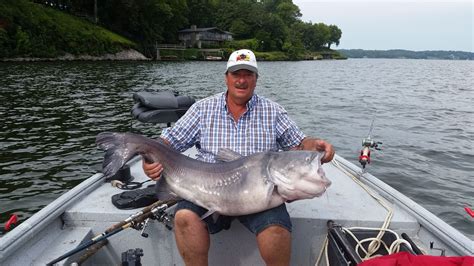 Tangling With Catfish On The Mississippi River Steve Douglas The