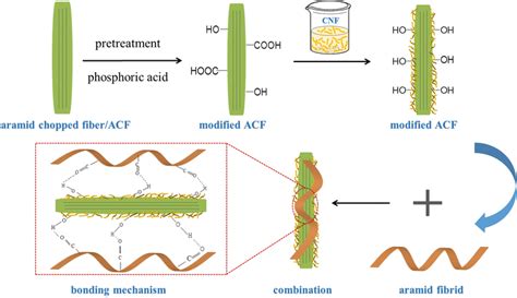 Mechanism Scheme Of The Interfacial Bonding Of Aramid Fiber And Cnf