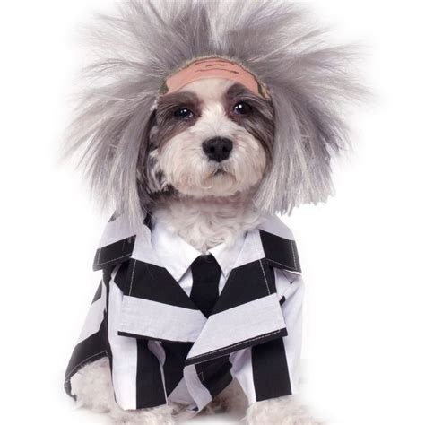 Pet Beetlejuice Costume — Costume Super Center