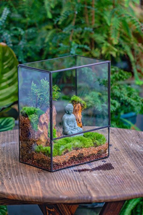 Buddha Geometric Glass Tin Terrarium Set Ncyp Garden — Ncypgarden