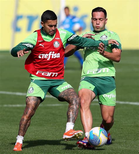 Treinamento Do Palmeiras Antes Do Confronto O Atl Tico Go Imagens