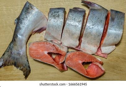 Bloody Mediterranean Tuna Fish Preparation After Stock Photo 37316293