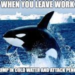 orca Meme Generator - Imgflip