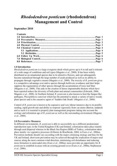 Rhododendron Ponticum Rhododendron Management And Control