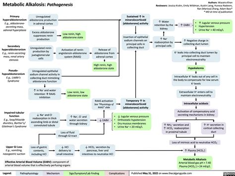 Metabolic Alkalosis: Pathogenesis | Calgary Guide