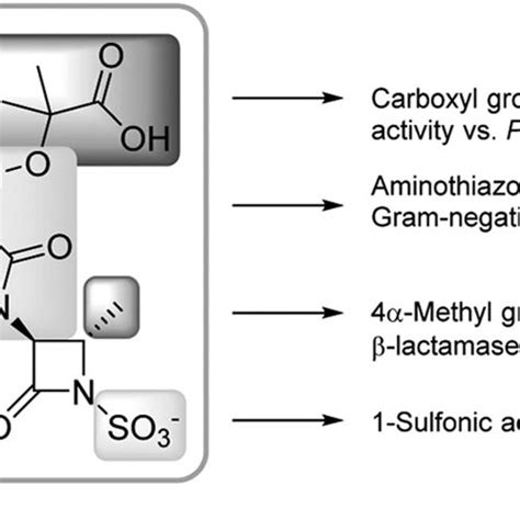 General structure of a monobactam 1, sulfazecin or SQ 26,445 2 (R 5 ...