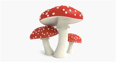 Set Mushrooms 3d Model