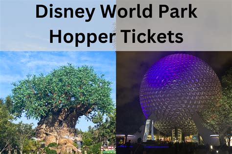 Reasons Why Disney World Park Hopper Tickets Are Worth It