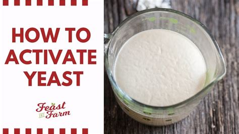 How To Activate Dry Yeast Be Sure Its Alive Youtube