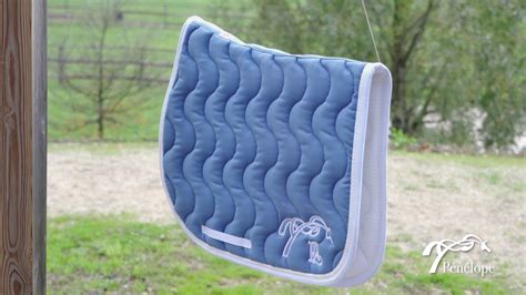 Tapis De Selle Point Sellier Classique Bleu Lagon Et Blanc YouTube