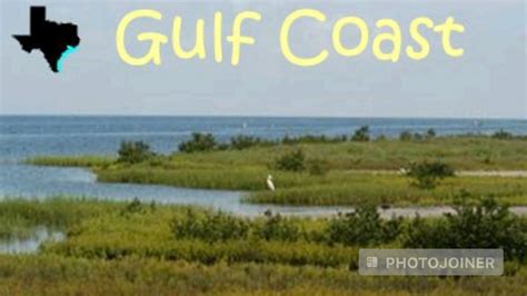 Discover Gulf Coastal Plains Texas A Treasure Trove Of Fun Facts