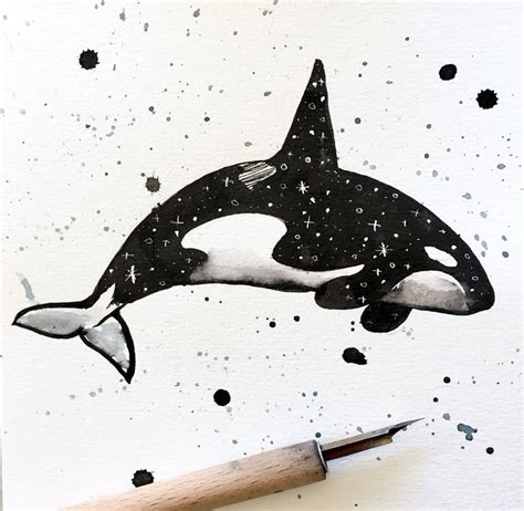 Inktober Drawing Orca Arte De C Mics Dibujos Tatuaje De Orca