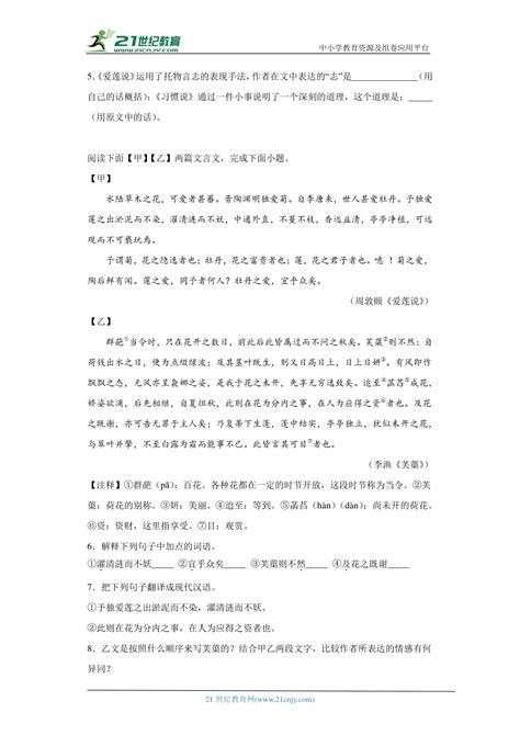 2024年九年级中考语文文言文《爱莲说》对比阅读专题训练（含答案）21世纪教育网 二一教育