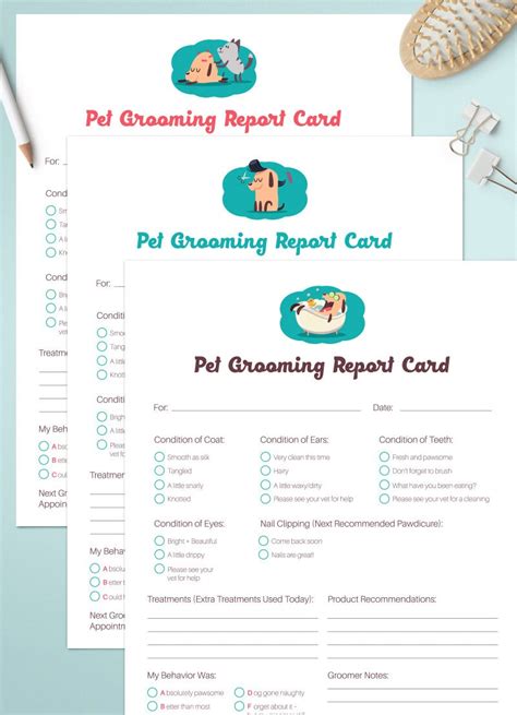 Whimsical Pet Grooming Report Card Pack Pet Groomers Pet Business