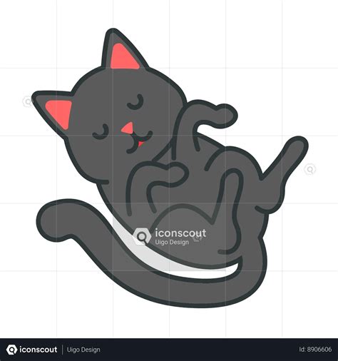 Sleeping Cat Animation - Free Download Animal Animations | IconScout