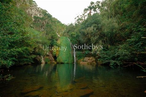 Estancia Caa Por Quebrada De Los Cuervos Uruguay Sotheby S