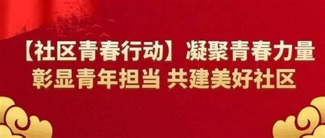 【社区青春行动】凝聚青春力量，彰显青年担当，共建美好社区金凤区服务银川市