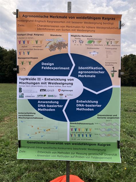 Die Suche nach der resilienten Weide der Zukunft - bauernzeitung.ch