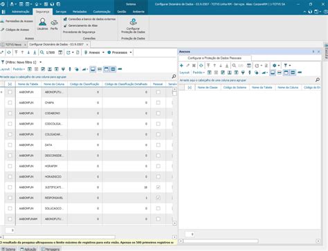 Framework Linha RM Frame Segurança de Dados Configurar Proteção