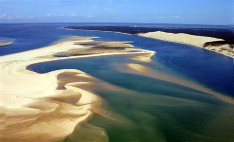 Les Secrets Du Banc DArguin Balade Bateau Arcachon