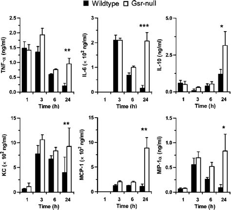 Gsr Deficient Mice Develop Cytokine Storm After E Coli Challenge Mice