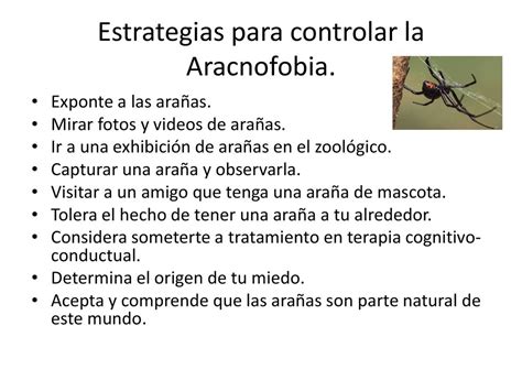 La Aracnofobia Ppt Descargar