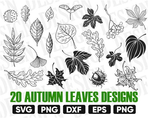 Leaves Autumn Svg Autumn Svg Fall Leaves Svg Thanksgiving - Etsy