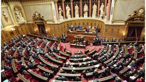 Différence Entre Sénat Et Assemblée Nationale Automasites