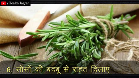 रोजमेरी के फायदे Rosemary Plant Health Benefits In Hindi Youtube