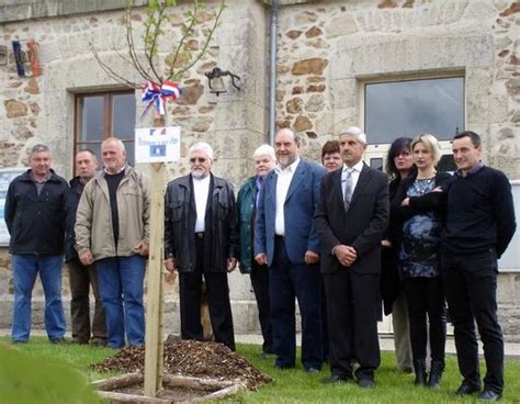 Un M Rier Platane Plant Par Les Lus Saint Bonnet Elvert