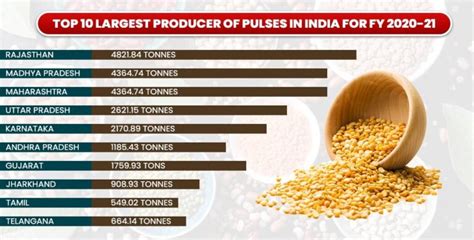 Top 10 Largest Producer States List Of Pulses In India 2025