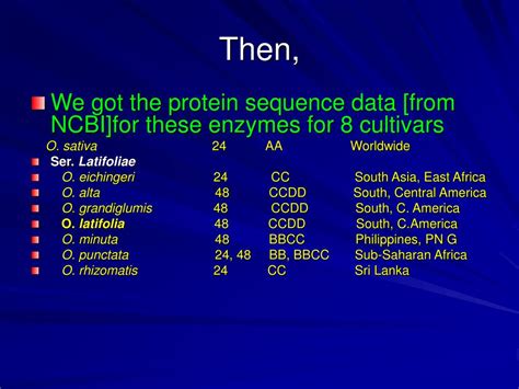 Ppt Rice Phylogeny Revisited Powerpoint Presentation Free Download